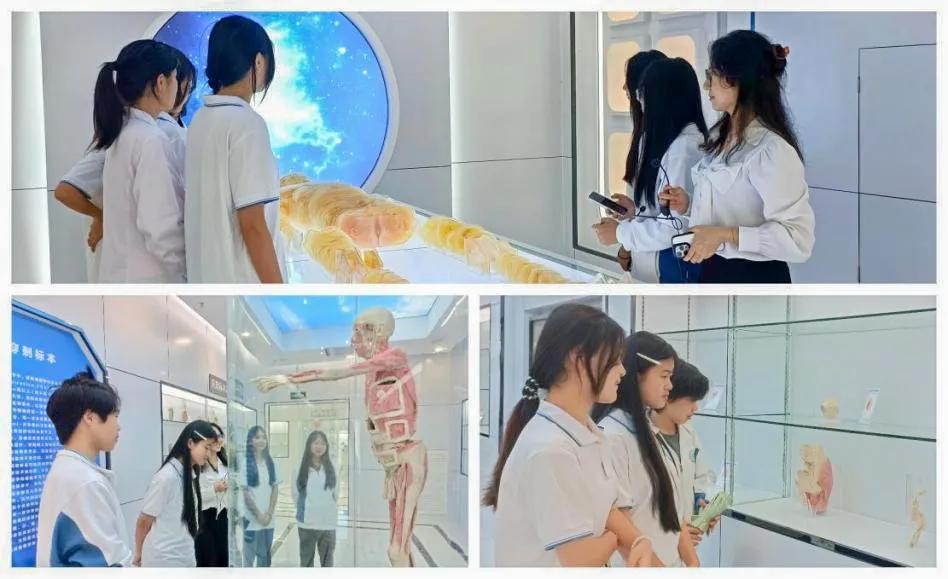协同共育，健康心灵——我校2024年心理健康教育活动月纪实(图5)